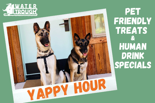 Yappy Hour at Lone Star Court