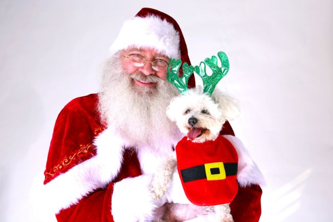 Santa with Pet 